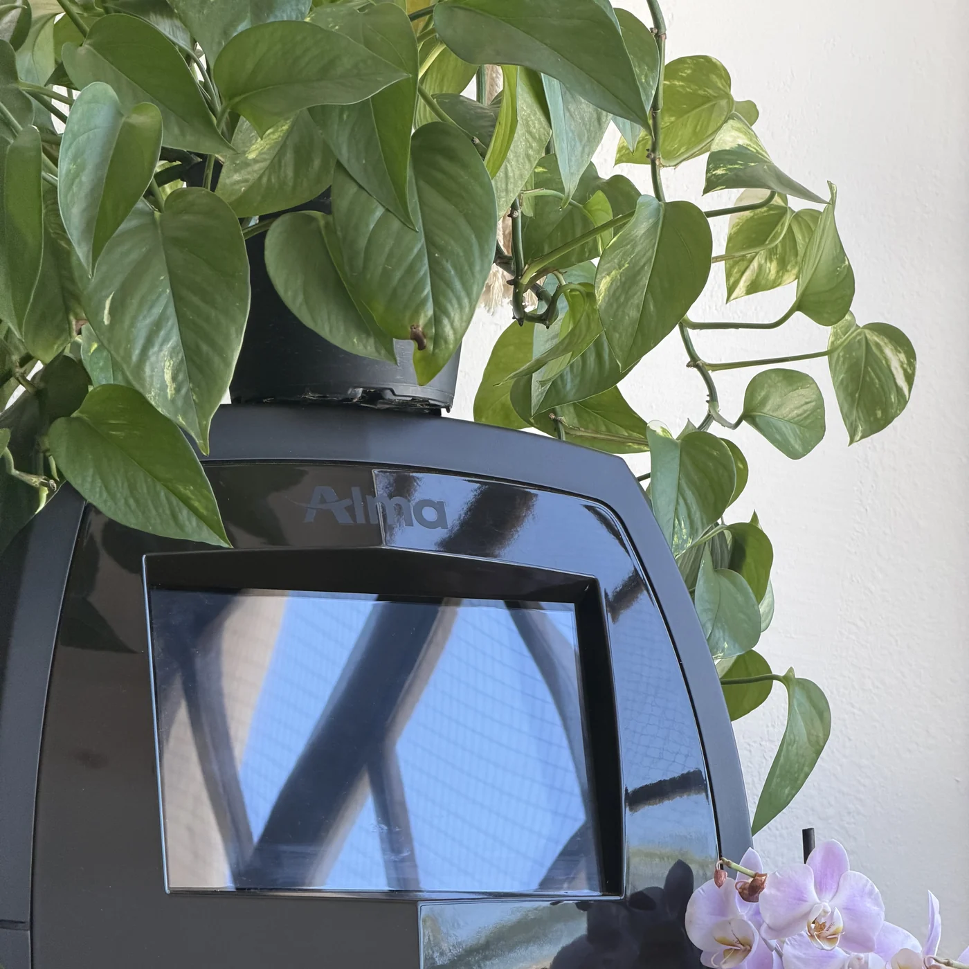 Alma TED needle-free hair restoration device